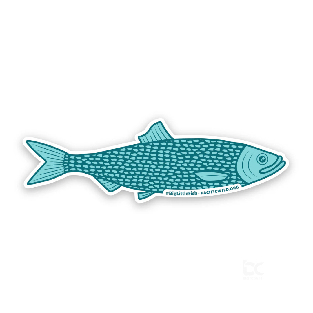 Pacific Wild #BigLittleFish Herring Sticker