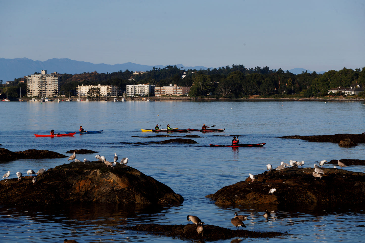 FEB 21-22 | Paddle Canada Level 1 Skills: Victoria