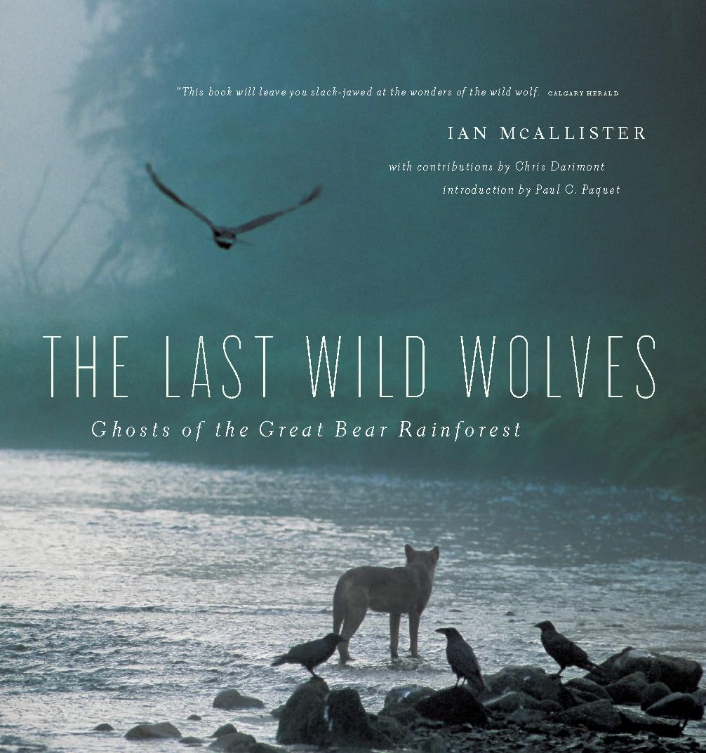 The Last Wild Wolves by Ian McAllister