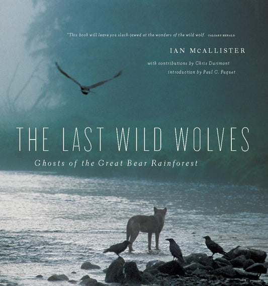 The Last Wild Wolves by Ian McAllister