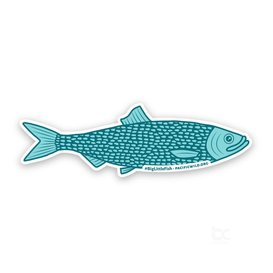 Pacific Wild #BigLittleFish Herring Sticker