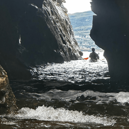 MAR 7 | Nooks and Crannies, a progression into rock gardening