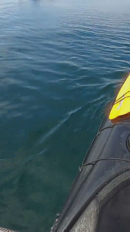 APR 10-13 | Paddle Canada Level 2 Skills: Victoria