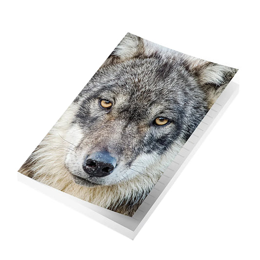 #SaveBCWolves Notebook